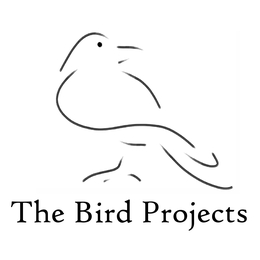 The Bird Projects